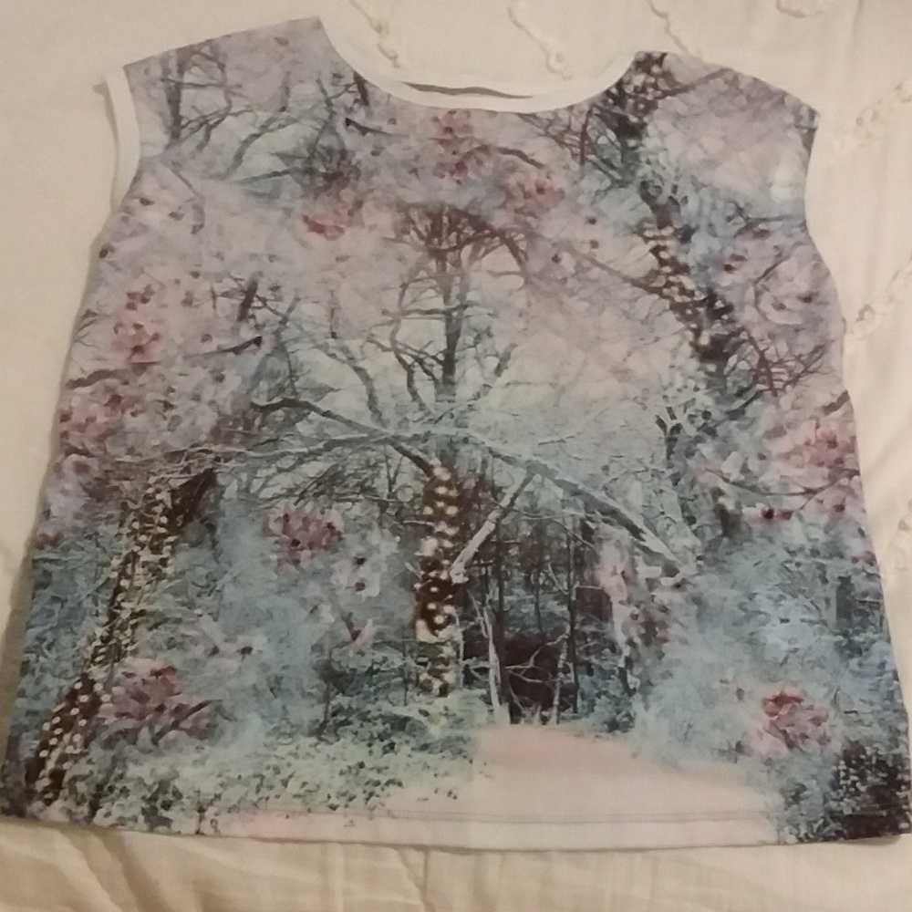 Ted Baker Womens Winter Scene Top Size 0